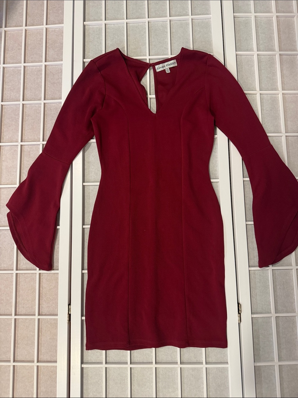 Almost Famous Wine Red V-Neck Long Sleeve Mini Dress
